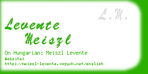 levente meiszl business card